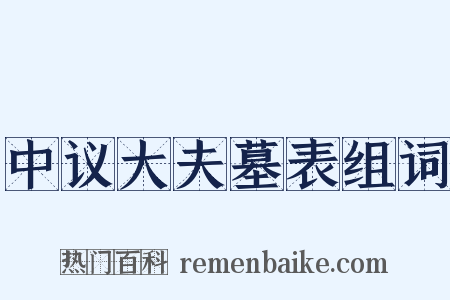 中议大夫墓表组词是什么意思的图片